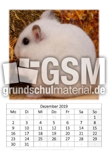 Dezember_Dschungarische Zwerghamster.pdf